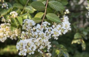 Слънчево време с температури до 37°