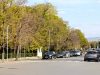 Еднодневно паркиране в Шумен срещу 6 лв. – решава Общинският съвет