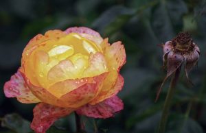 Облачен и дъждовен вторник