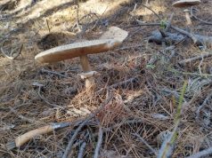 Променлива облачност, живакът ще се покачи до 21°