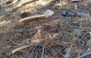 Променлива облачност, живакът ще се покачи до 21°