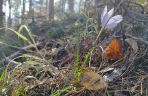 Шарено време в петък, на места ще вилнее силен вятър