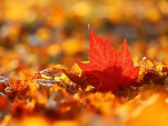 Слънце и облаци ще се редуват, температурите остават почти без промяна