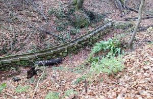 Облачно с температури, високи за сезона