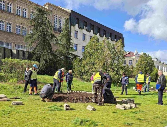 зацветяване1